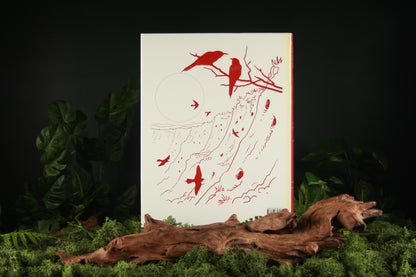 Handbook of the Birds of the World – Volume 6 Mousebirds to Hornbills