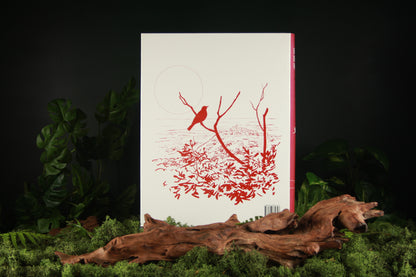 Handbook of the Birds of the World – Volume 10 Cuckoo-shrikes to Thrushes