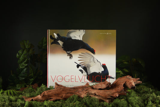 Vogelvlucht - Arto Juvonen