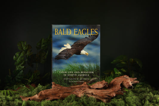 Bald Eagles - Donald F. Bruning