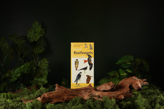 Zakgids roofvogels van Europa - Peter Hayman