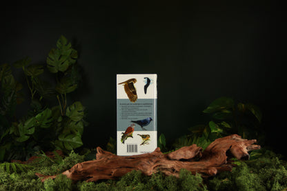 Nieuwe zakgids vogels - Peter Hayman