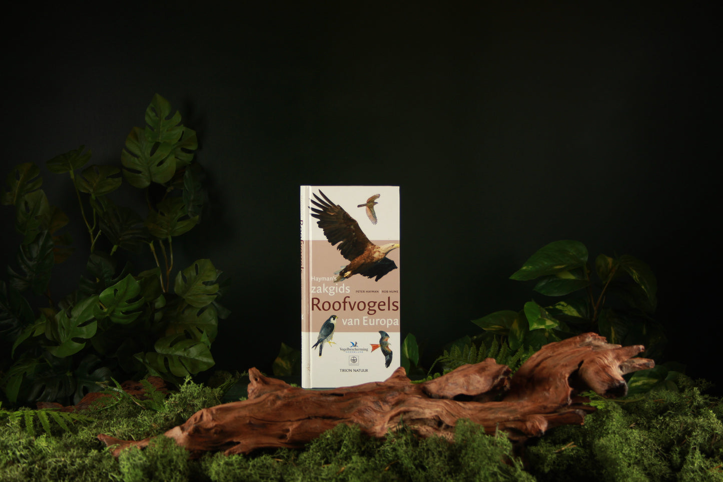 Hayman's zakgids Roofvogels van Europa - Peter Hayman
