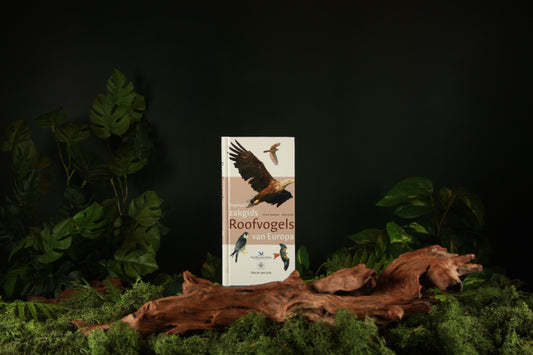 Hayman's zakgids Roofvogels van Europa - Peter Hayman