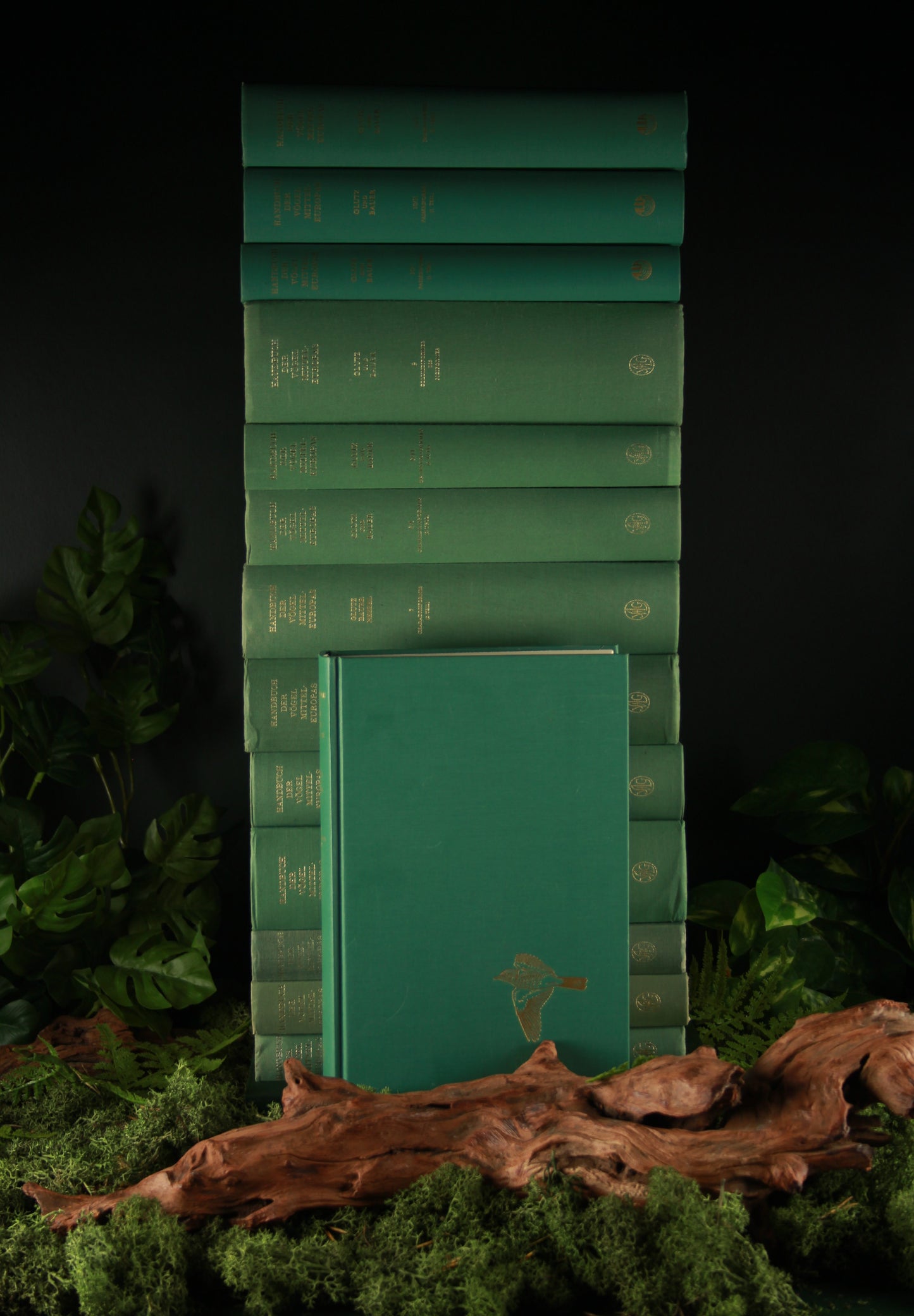 Handbuch der Vögel Mitteleuropas - Urs N. Glutz von Blotzheim en Kurt M. Bauer