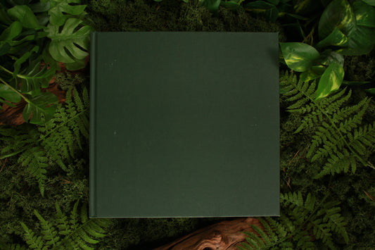 Tuinieren met decoratieve bladplanten - Susan Condor