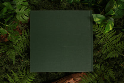 Tuinieren met decoratieve bladplanten - Susan Condor