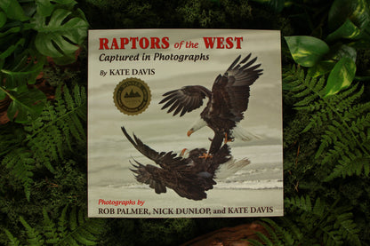 Raptors of the West - Kate Davies