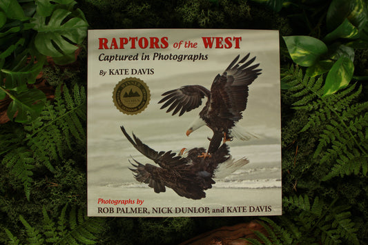 Raptors of the West - Kate Davies