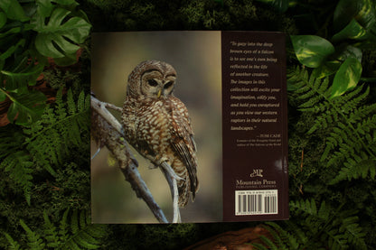 Raptors of the West - Kate Davies