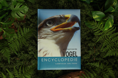 Geïllustreerde vogel encyclopedie - Vladimír Bejcek en Karel Štastný