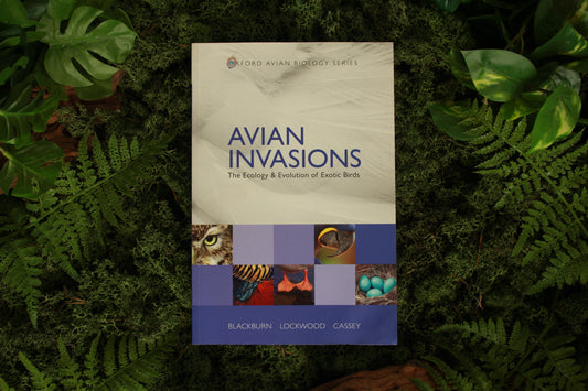 Avian Invasion - Oxford