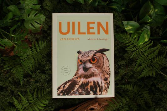 Uilen van Europa - Theodor Mebs & Wolfgang Scherzinger