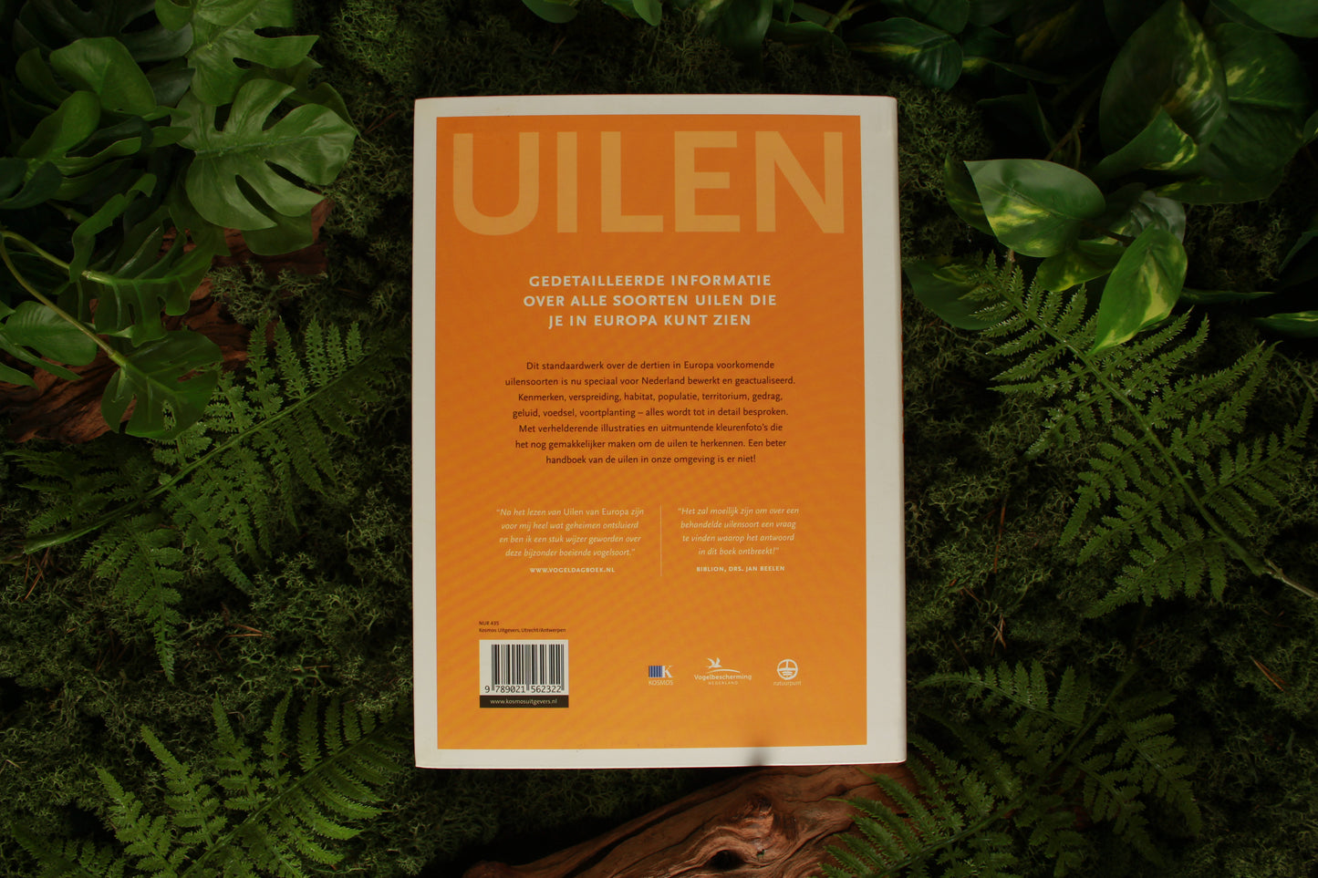 Uilen van Europa - Theodor Mebs & Wolfgang Scherzinger