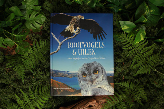 Roofvogels en Uilen - Henk van den Brink