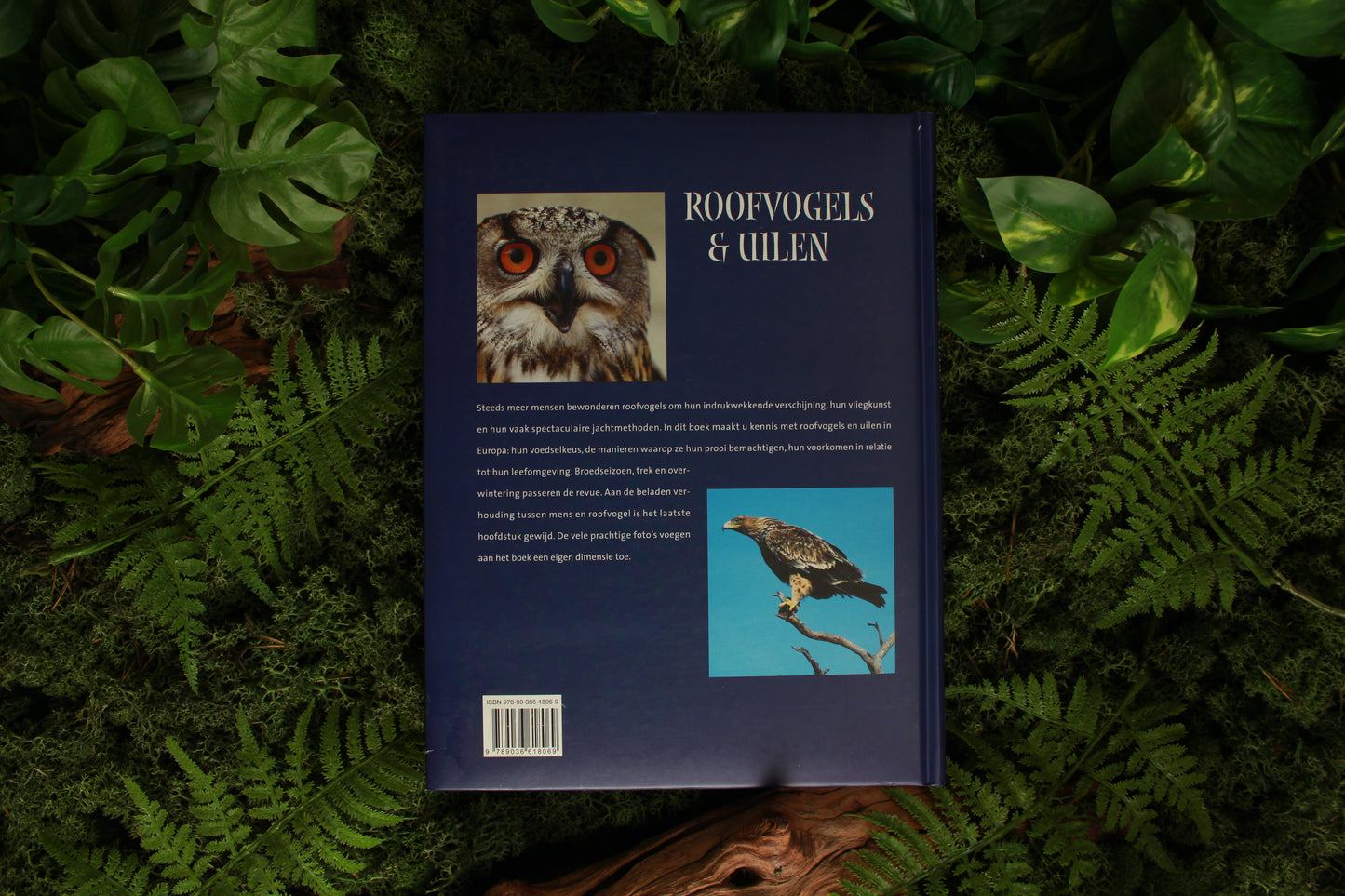Roofvogels en Uilen - Henk van den Brink