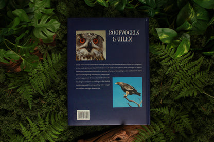 Roofvogels en Uilen - Henk van den Brink