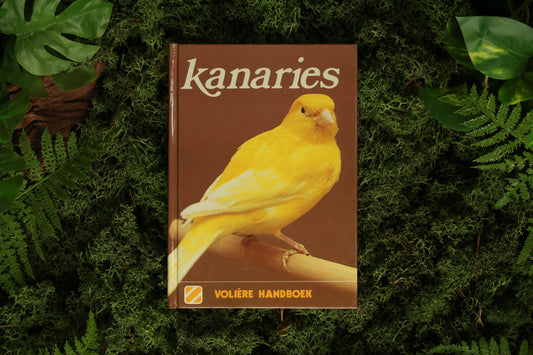 Kanaries - Edward Kramer & Gearge Lynch