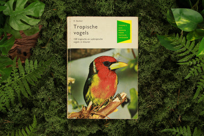 Tropische vogels - H. Bechtel