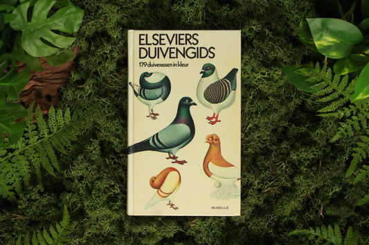 Elseviers Duivengids - Andrew McNeillie