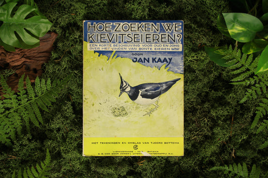 Hoe zoeken we kievitseieren? - Jan Kaay