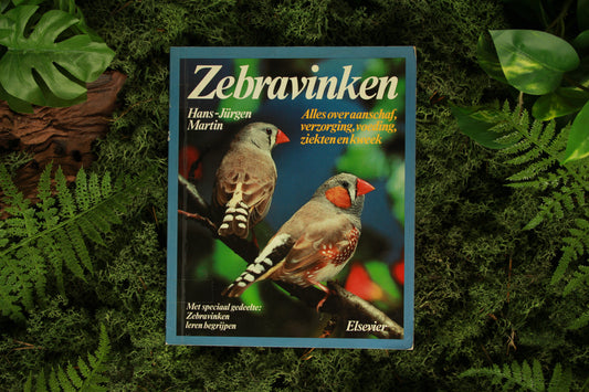 Zebravinken - Hans Jürgen Martin