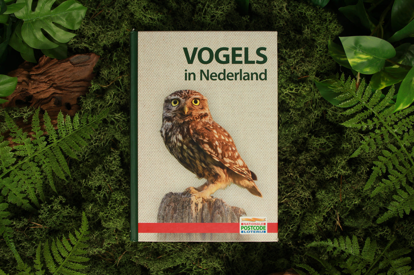Vogels in Nederland - Postcode loterij