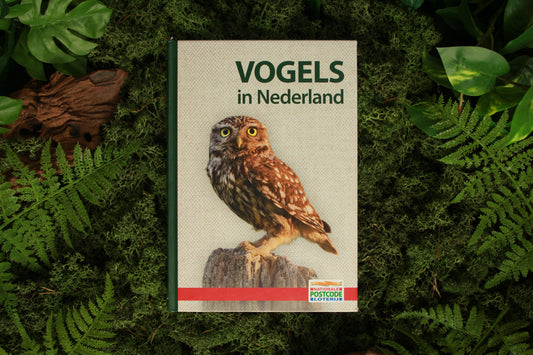 Vogels in Nederland - Postcode loterij