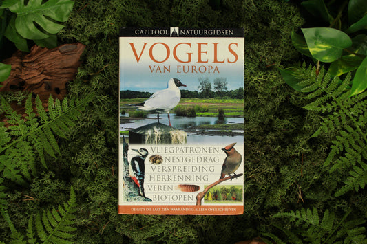 Vogels van Europa - Rob Hume