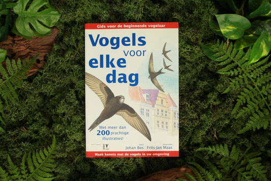 Vogels voor elke dag - Johan Bos