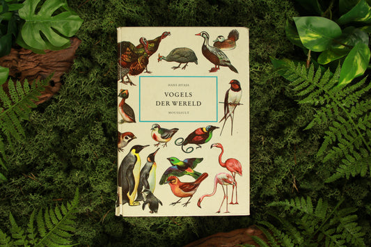 Vogels der wereld - Hans Hvass