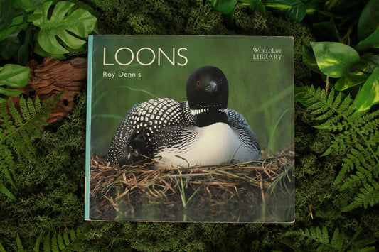 Loons - Roy Dennis