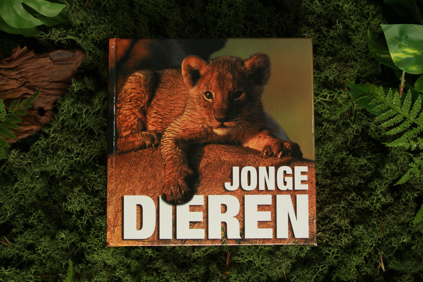 Jonge Dieren - Angela Serena Ildos