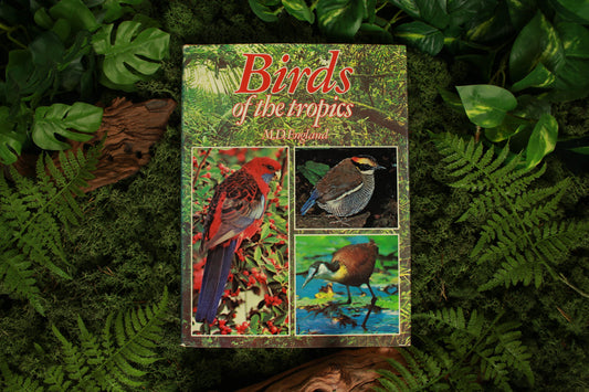 Birds of the Tropics - M.D. England