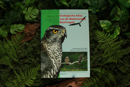 Ecologische atlas van de Nederlandse Roofvogels - Rob G. Bijlsma