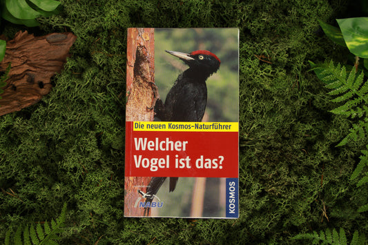 Welcher vogel ist das? - Volker Dierschke
