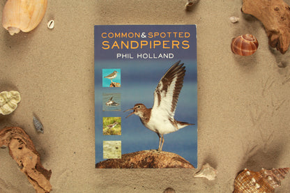 Common & Spotted Sandpipers - Phil Holland