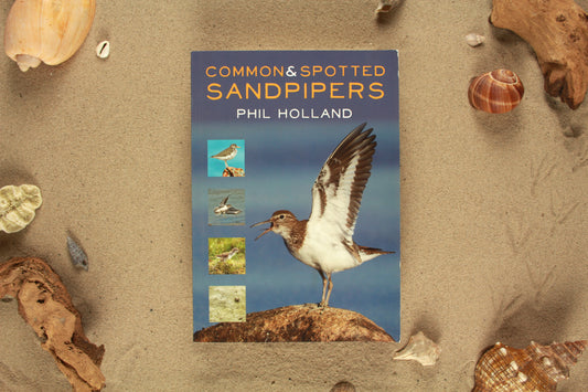 Common & Spotted Sandpipers - Phil Holland