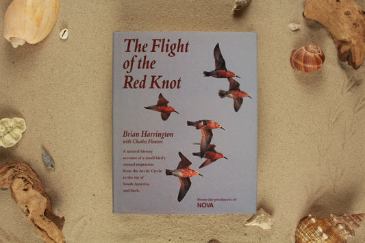 The flight of the Red Knot - Brian Harrington