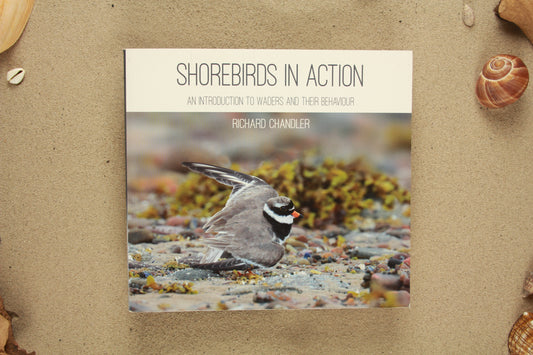 Shorebirds in Action - Richard Chandles