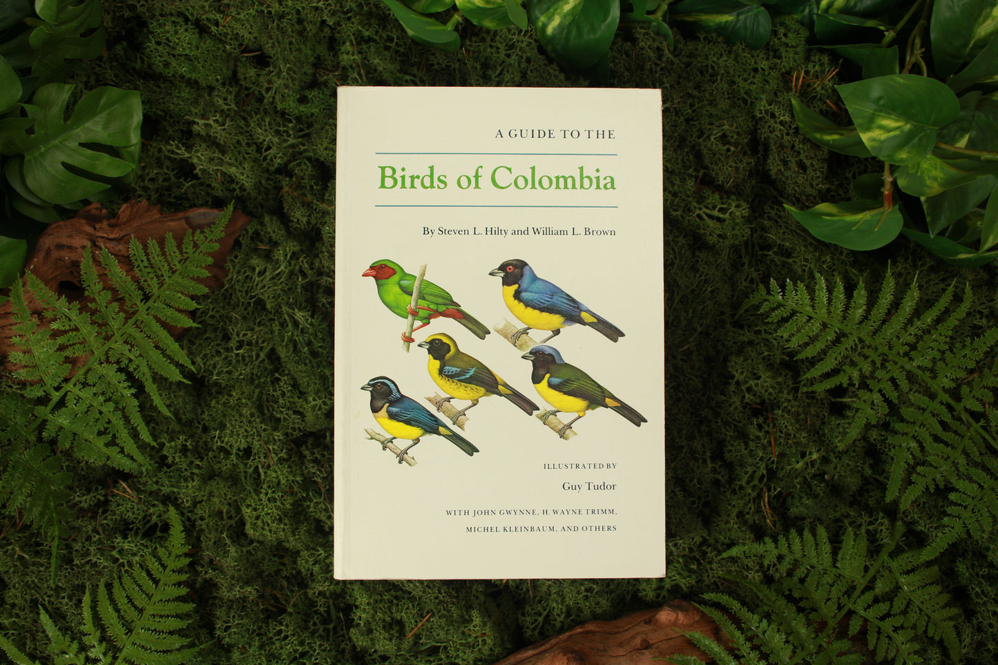 A Guide to the Birds of Colombia - Steven L. Hilty, William L. Brown