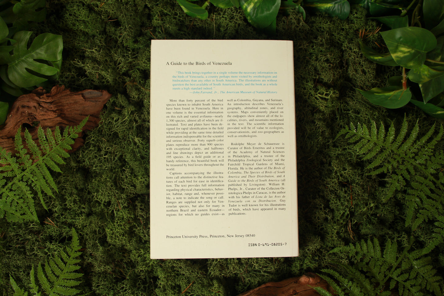 A Guide to the Birds of Venezuela - Rodolphe Meyer de Schauensee, William Henry Phelps