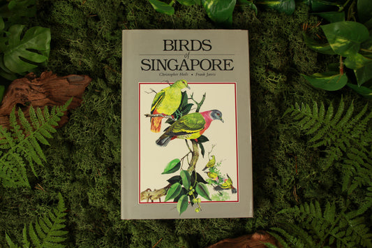 Birds of Singapore - Frank Jarvis