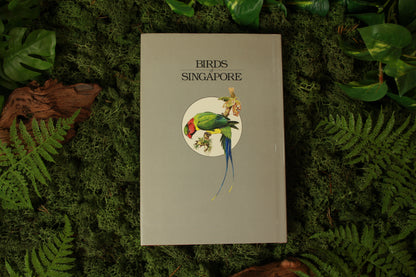 Birds of Singapore - Frank Jarvis