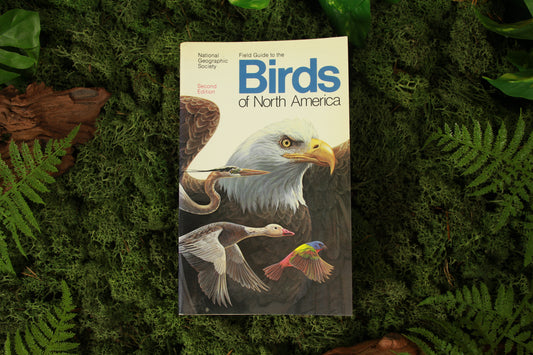 Field Guide to the Birds of North America – National Geographic