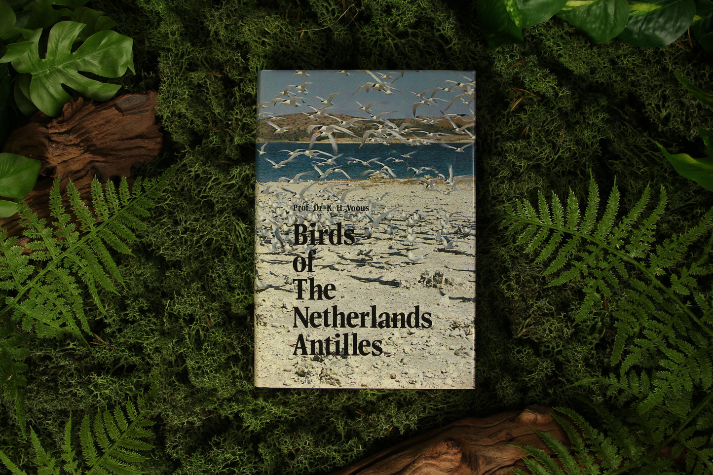 Birds of the Netherlands Antilles – K.H. Voous