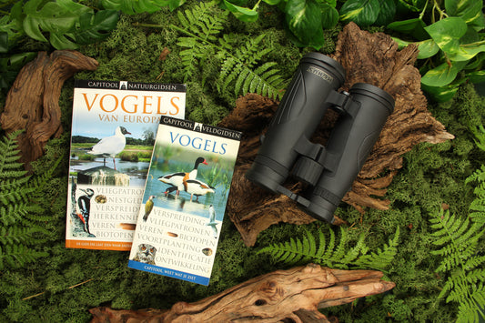 Vogelspot starterspakket 2
