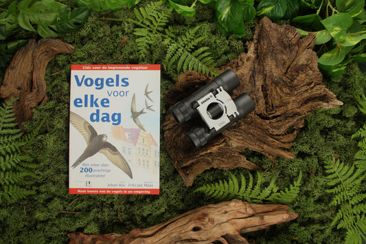 Mini-stadsvogel-pakket 3