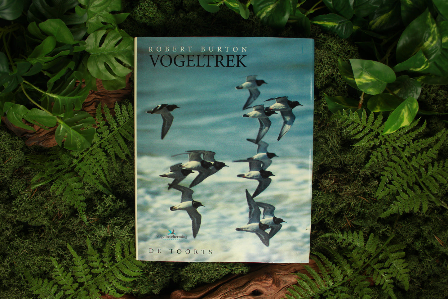Vogeltrek – Robert Burton