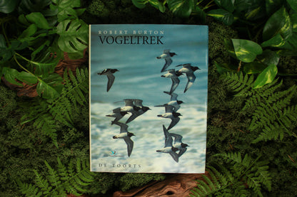 Vogeltrek – Robert Burton